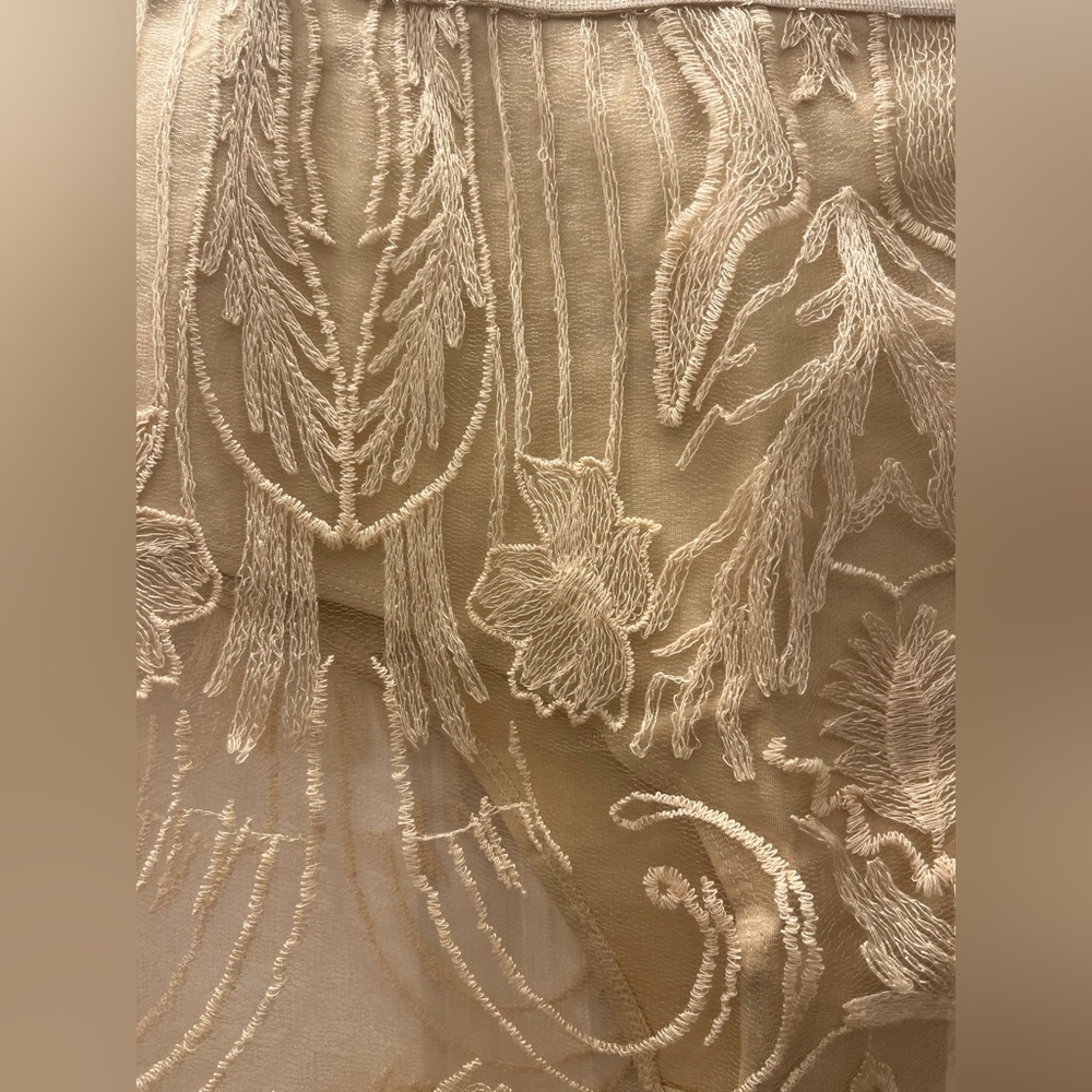 Anthropologie Sheer Embroidered Cream Midi Skirt - Picture 8 of 12